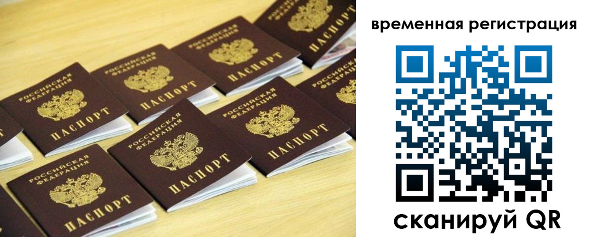 купить прописку в Камешково