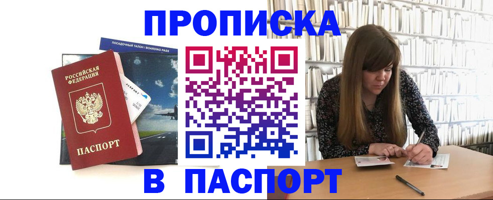 прописка поиск в Камешково